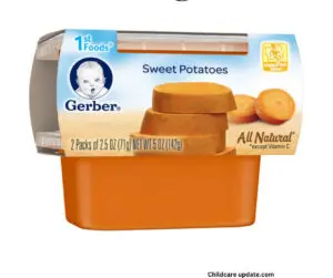Gerber Baby Food Stage 1