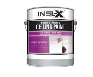 best paint for walls with kids